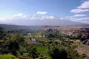 L'oasis de verdure le long de la rivière Chili à Arequipa ; au fond, le massif du Chachani...
